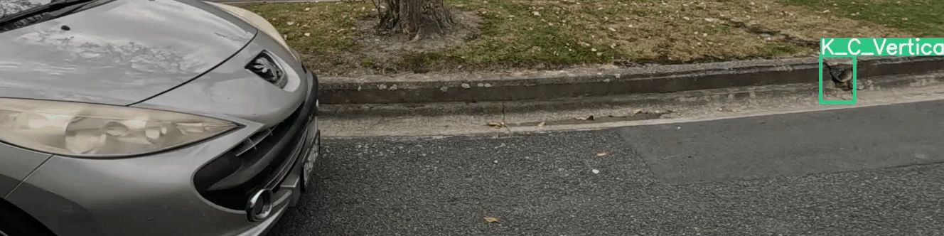 Annotated kerb and channel detection result on a residential street